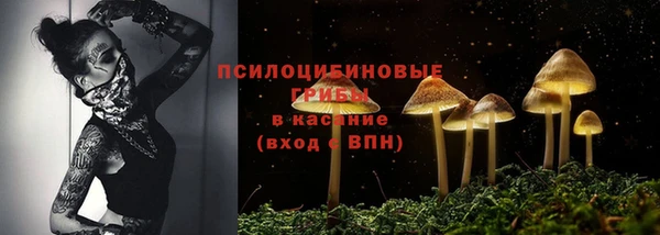 герыч Арсеньев