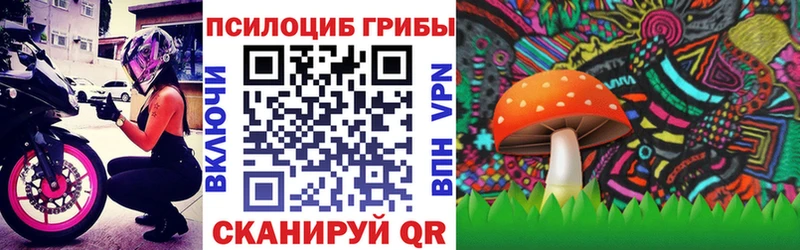 Псилоцибиновые грибы Psilocybe блэк спрут маркетплейс Исилькуль